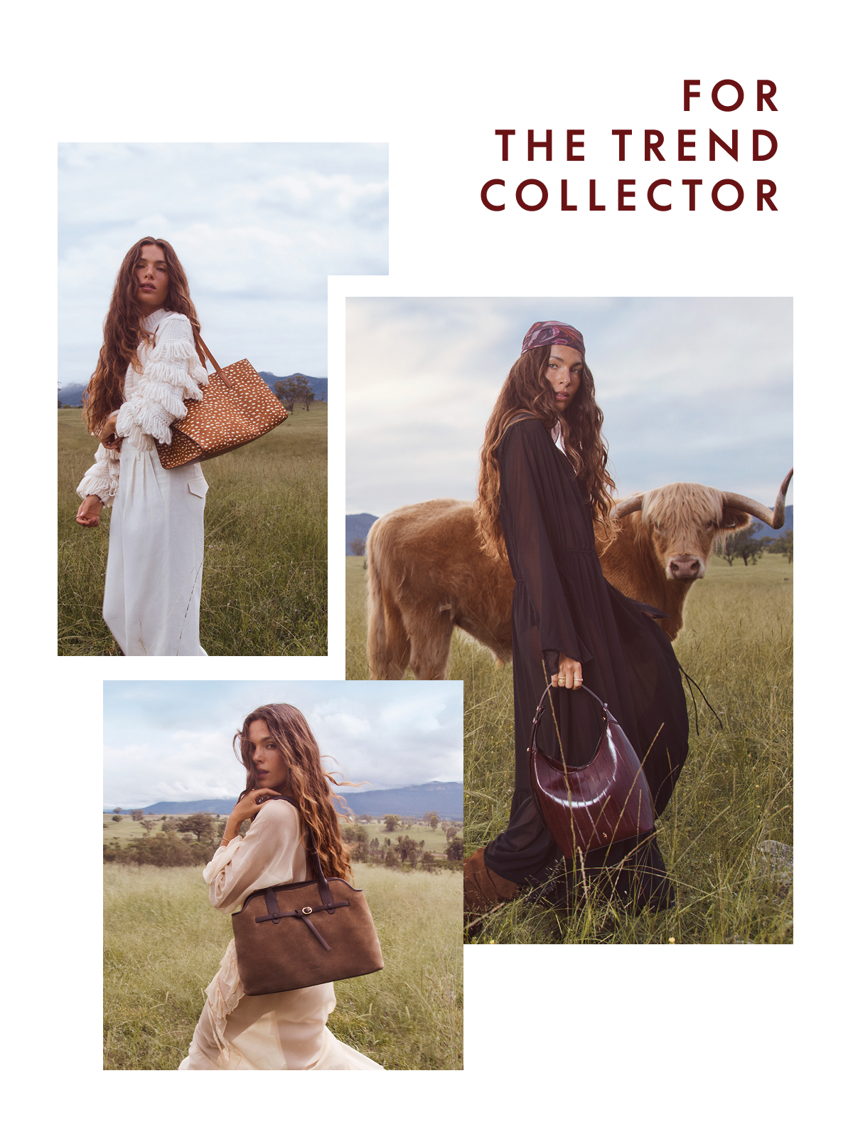 For The Trend Collector