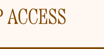 VIP ACCESS