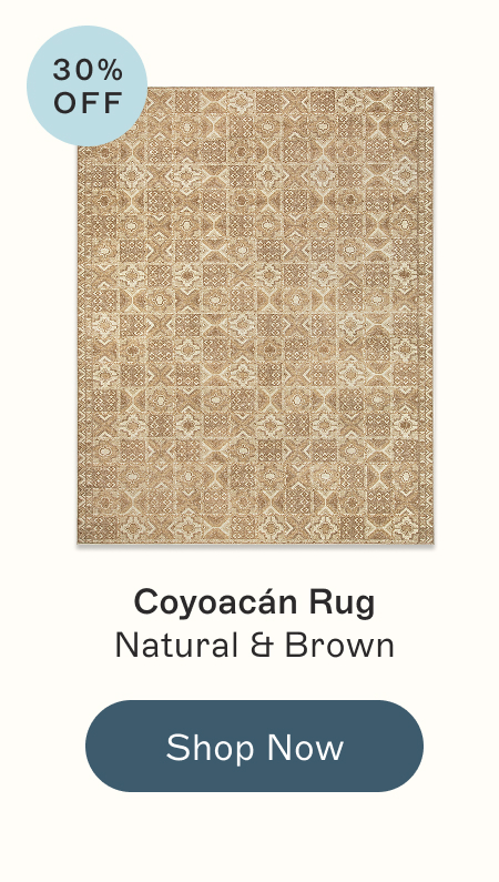 Coyoacán Rug Natural & Brown