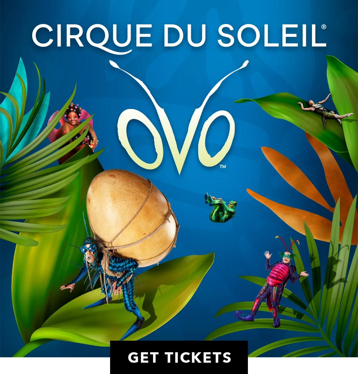 Cirque du Soleil: OVO | Buy Tickets