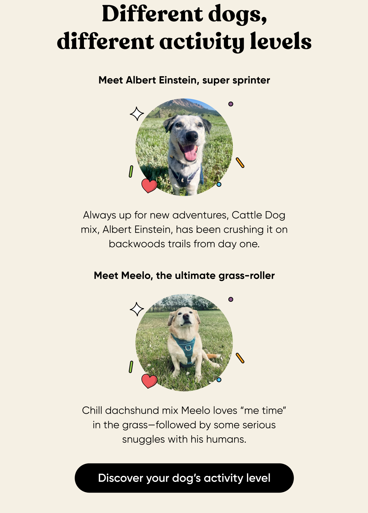 Meet Albert Einstein, super sprinter