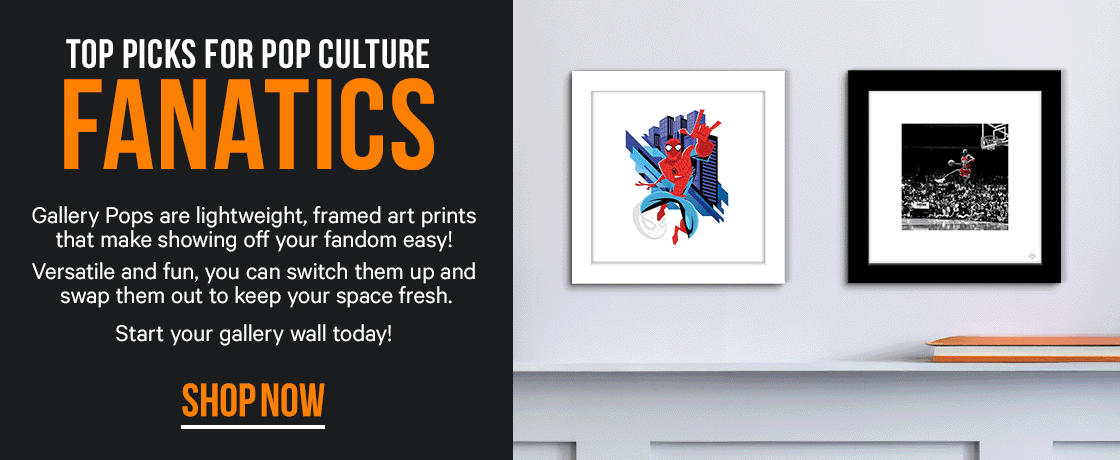 Top Picks for Pop Culture Fanatics! Gallery Pops are lightweight, framed art prints that make showing off your fandom easy!