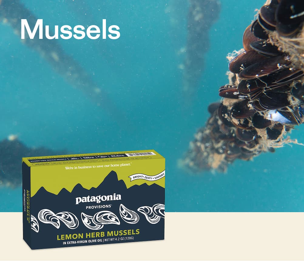 Mussels