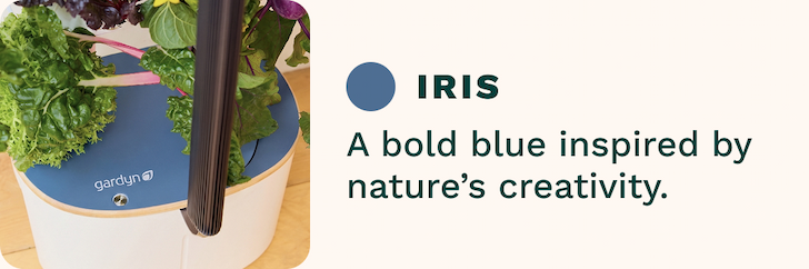 Iris | A bold blue inspired by nature's creativity.