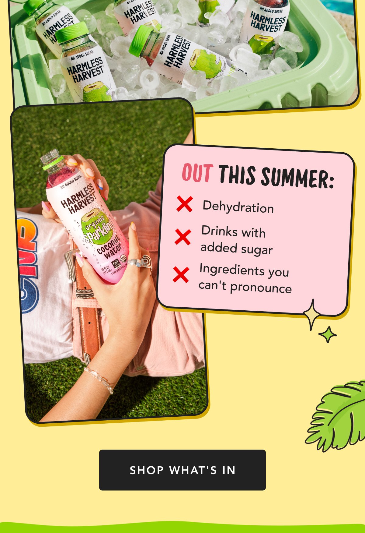 Out this summer | Dehydration Drinks with added sugar Ingredients you can't pronounce | Shop What's In