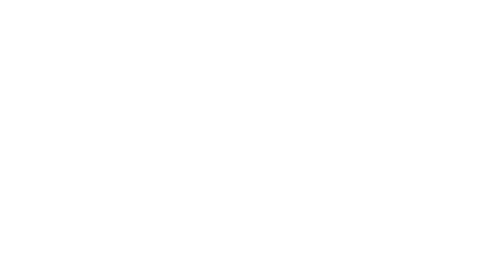 TEMU