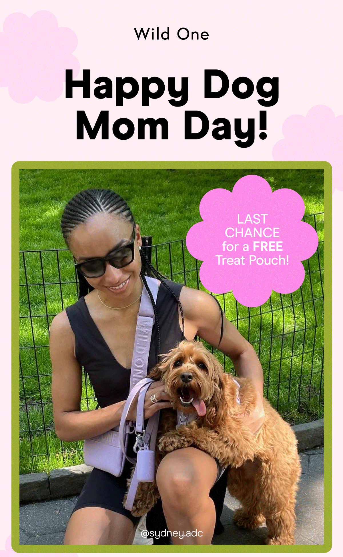 Happy Dog Mom Day! LAST CHANCE for a FREE Treat Pouch!