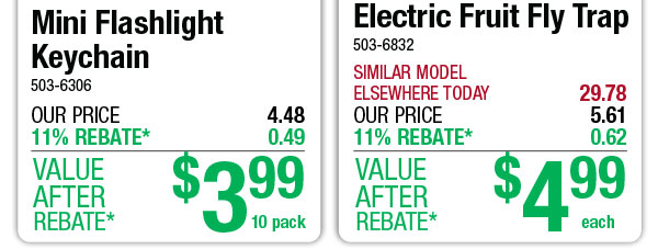 Electric Fruit Fly Trap - ONLY $4.99 After Rebate*!