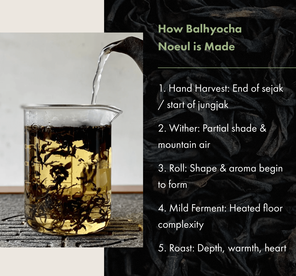 How Balhyocha Noeul is Made 1. Hand Harvest: End of sejak / start of jungjak  2. Wither: Partial shade & mountain air  3. Roll: Shape & aroma begin to form  4. Mild Ferment: Heated floor complexity  5. Roast: Depth, warmth, heart