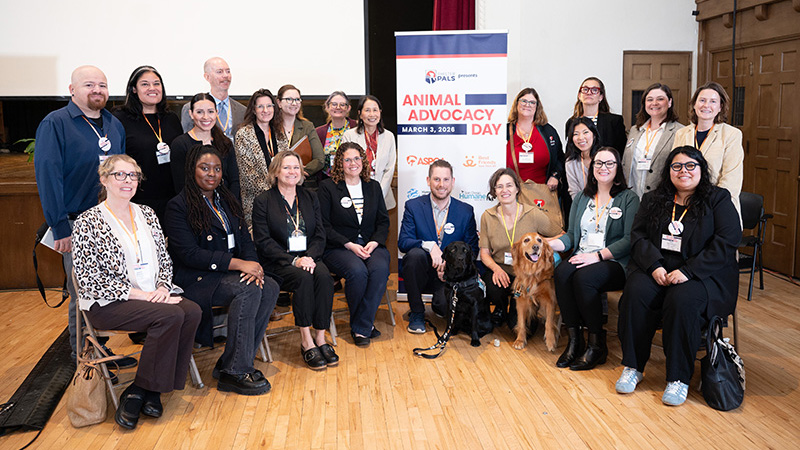 SF SPCA Staff at Animal Advocacy Day in Sacramento