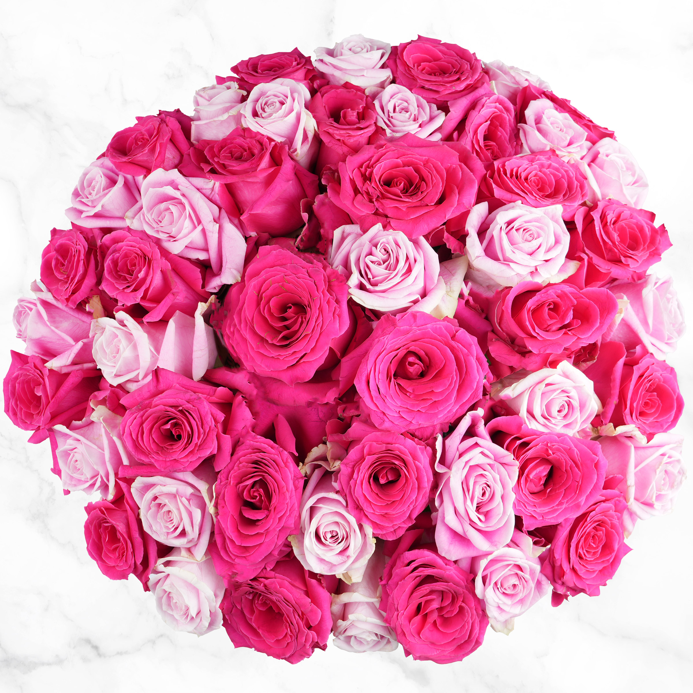 Valentine's Day Roses