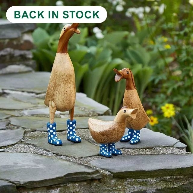 Spotted Wellies Garden Ducks