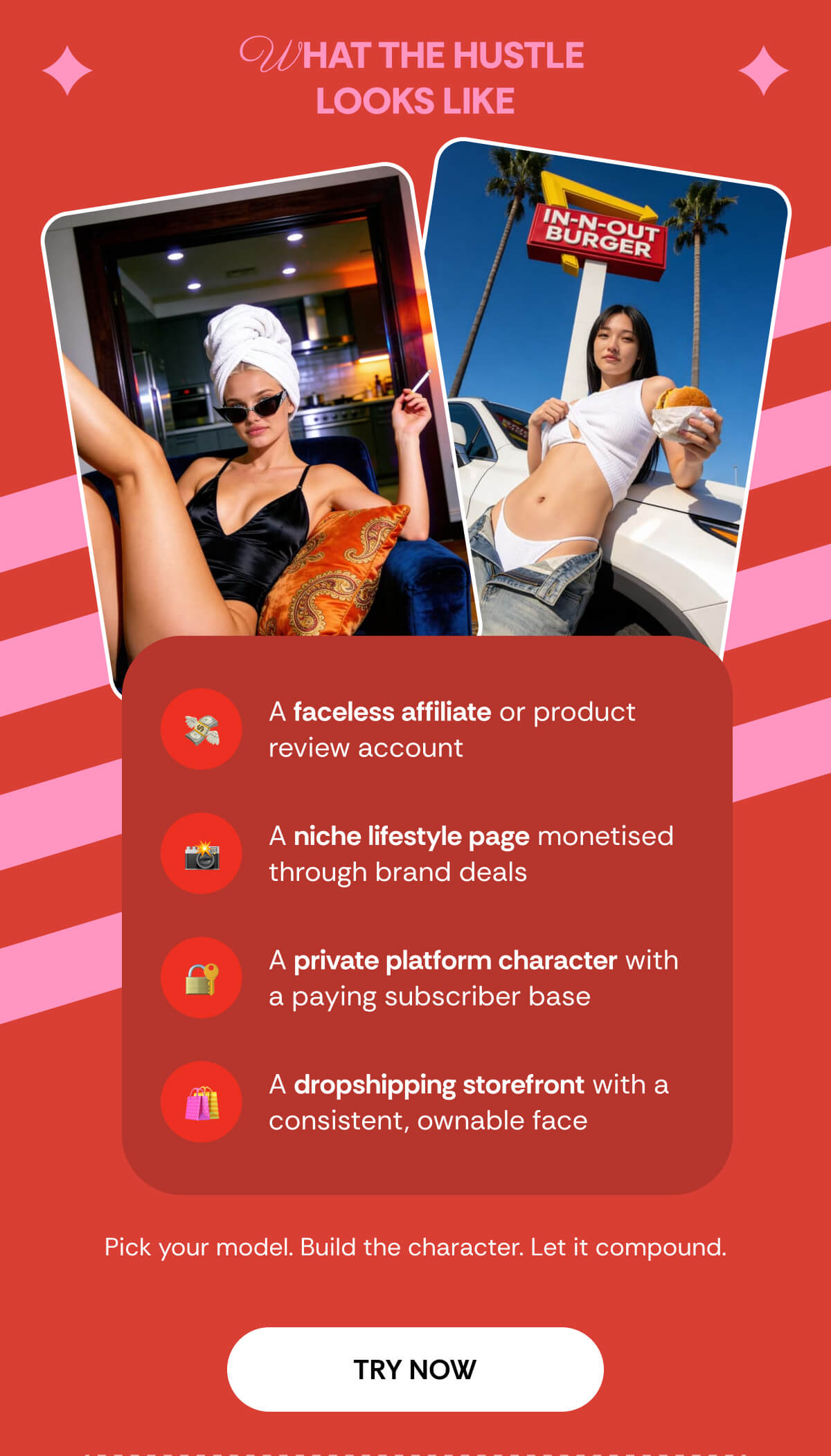 WHAT THE HUSTLE  LOOKS LIKE A faceless affiliate or product review account  A niche lifestyle page monetised through brand deals A private platform character with a paying subscriber base A dropshipping storefront with a consistent, ownable face