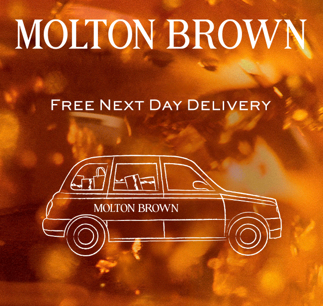 Free Next Day Delivery Banner