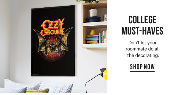 College Must-Haves: Don't let your roommate do all the decorating.  