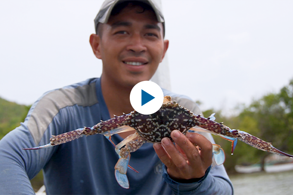 A fisherperson smiles while holding a blue swimming crab. A blue play button takes you to a video about model villages in the Philippines on YouTube