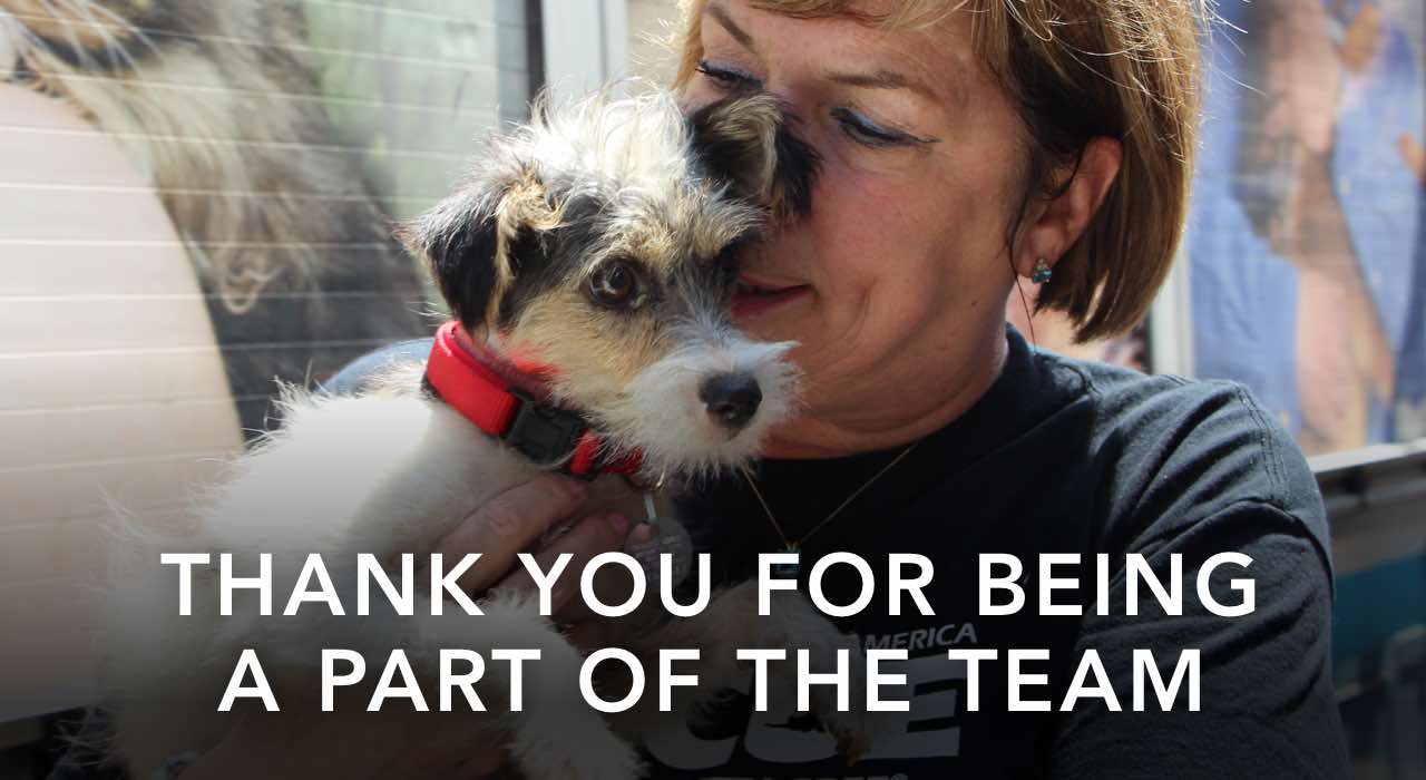 Thank you for being a part of the team