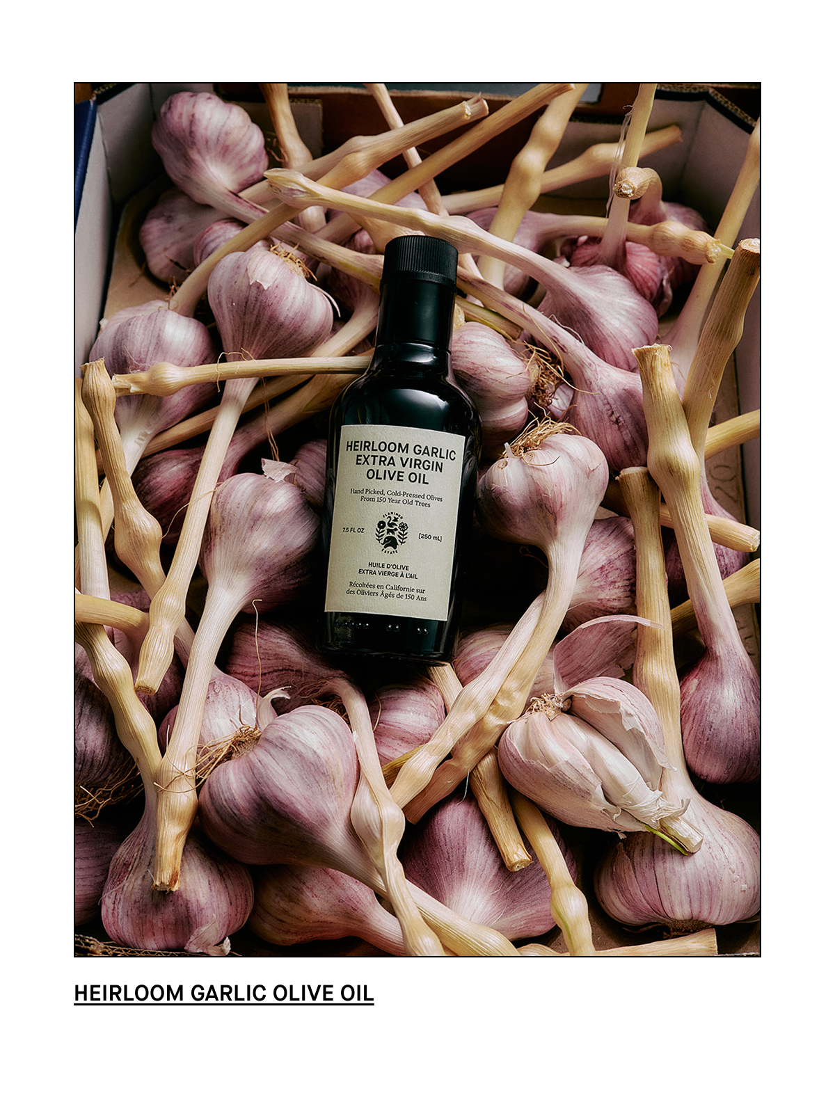 Heirloom Garlic Olive Oil