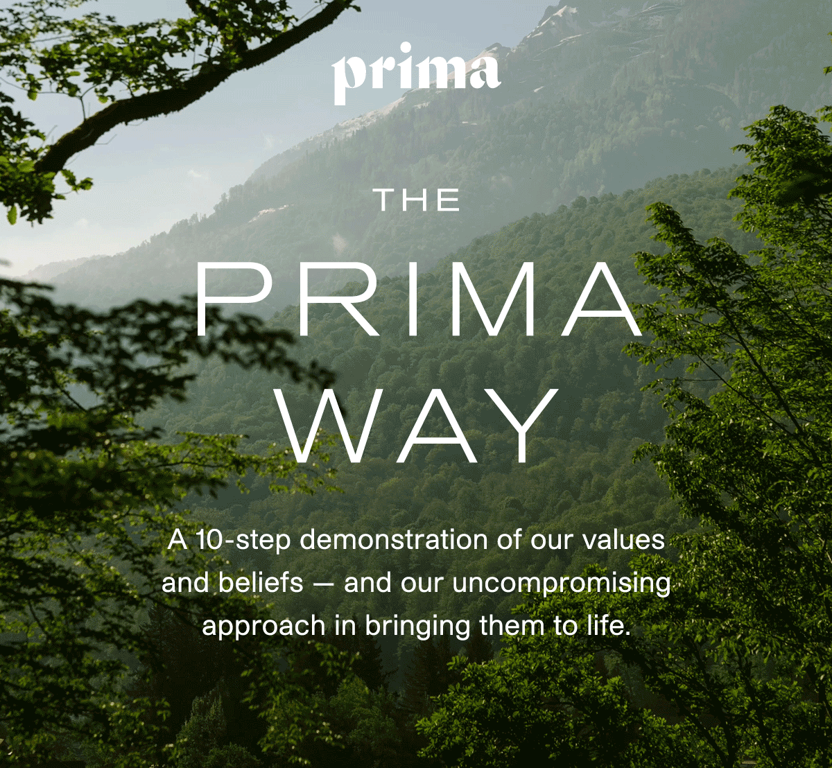 The Prima Way: A 10-step demonstration of our values and beliefs —&nbsp;and our uncompromising approach in bringing them to life.