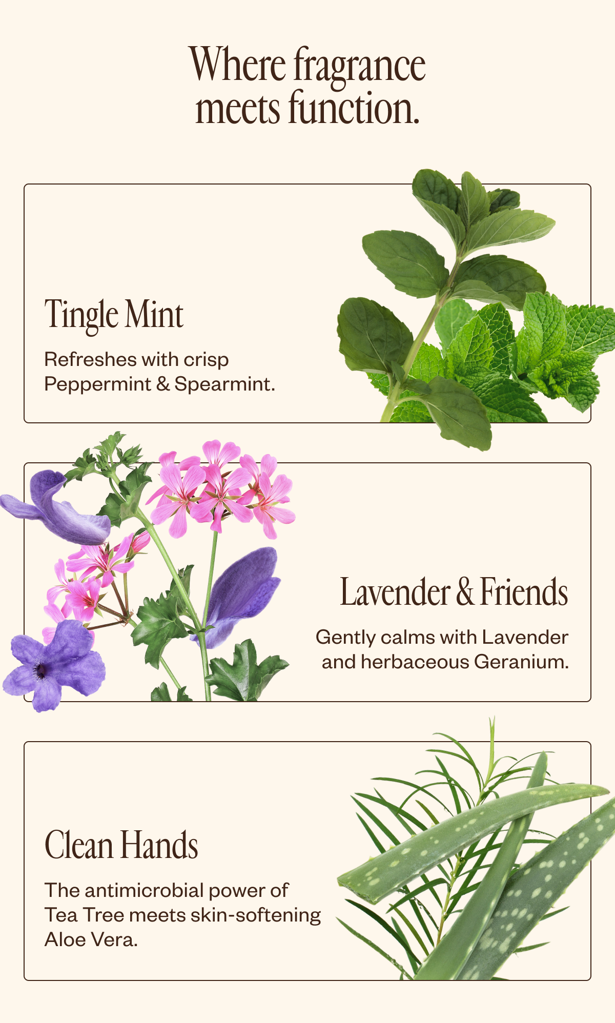 Where fragrance meets function.