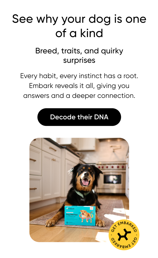 See why your dog is one of a kind. Breed, traits, and quirky surprises. Every habit, every instinct has a root. Embark reveals it all, giving you answers and a deeper connection. Decode their DNA.