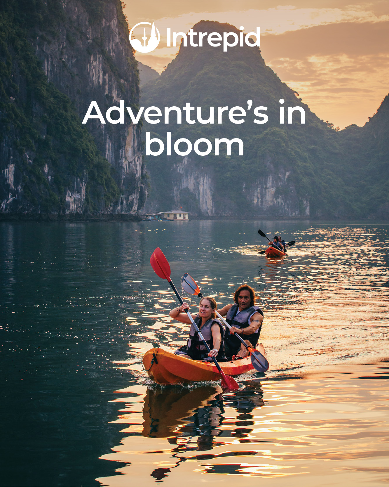 Adventure's in bloom