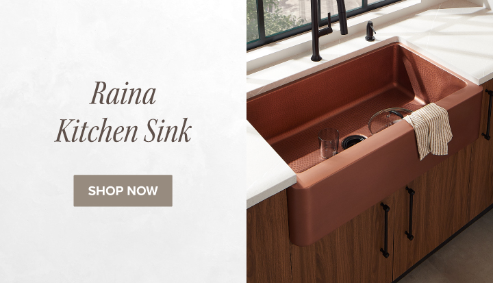 Raina Kitchen Sink - Shop Now