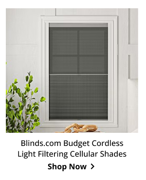 Blinds.com Budget Cordless Light Filtering Cellular Shades | Shop Now >