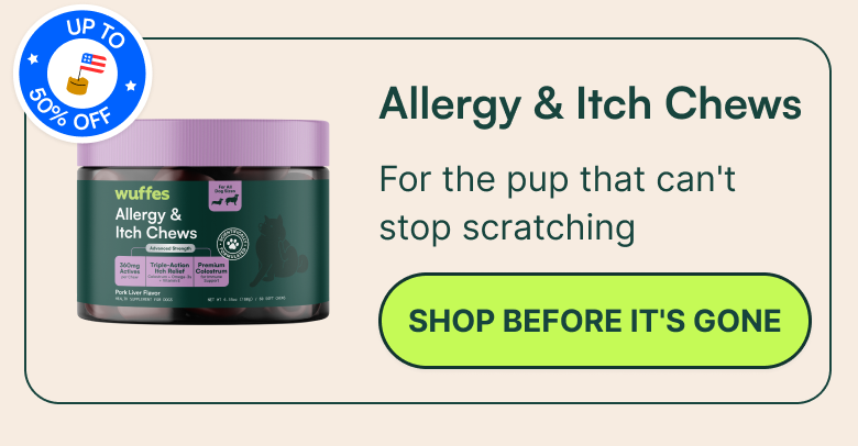 Allergy & Itch Chews