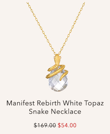 Manifest Rebirth Snake Necklace
