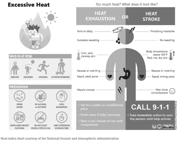 An infographic explaining the effects of heat exhaustion and heat stroke