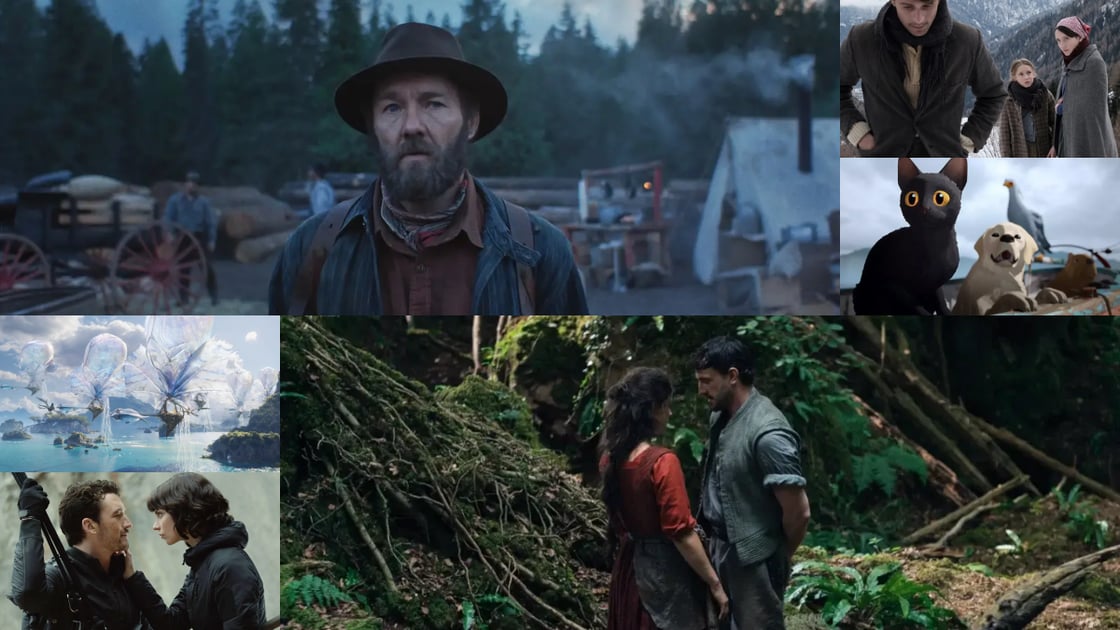 Field Notes - Nature Films
