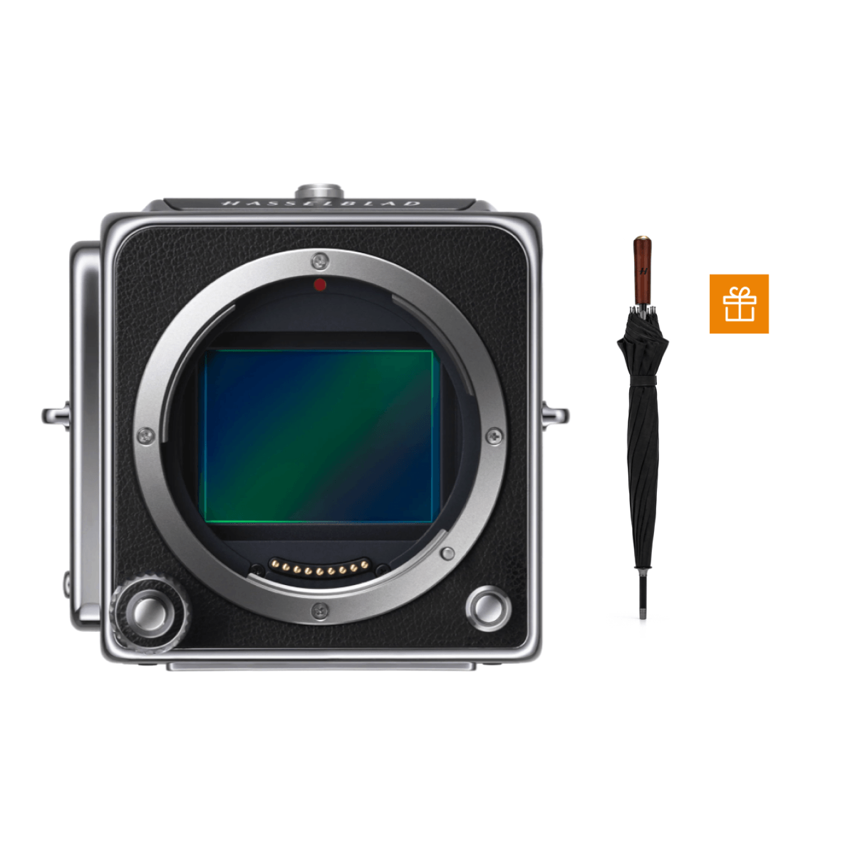 Hasselblad Umbrella