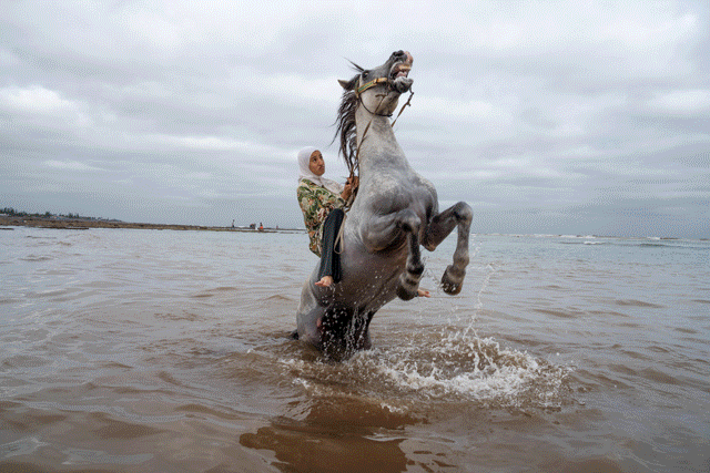 Gif of images of Moroccan horsewomen