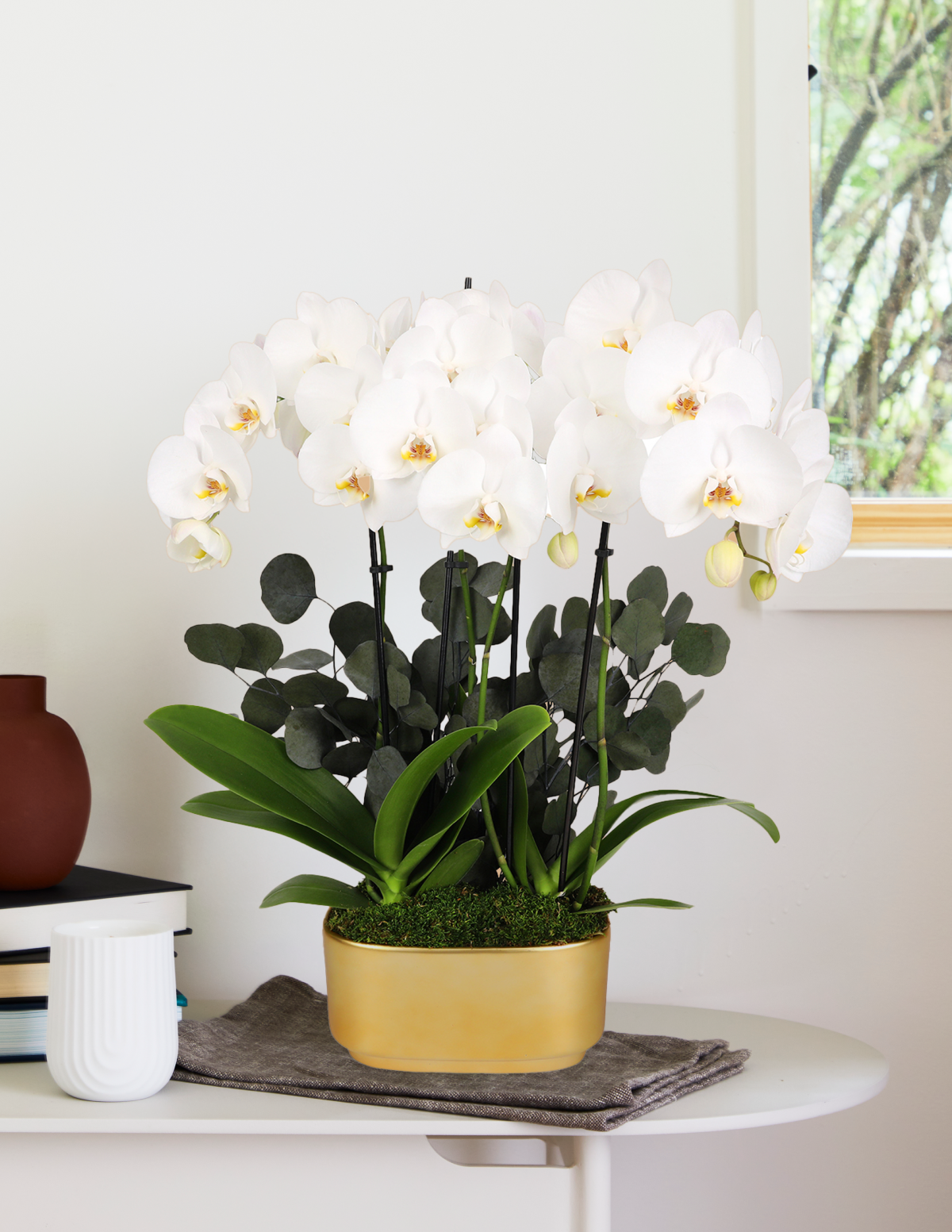Image of Large Double Orchid