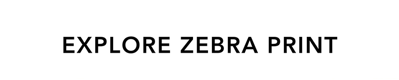 EXPLORE ZEBRA PRINT