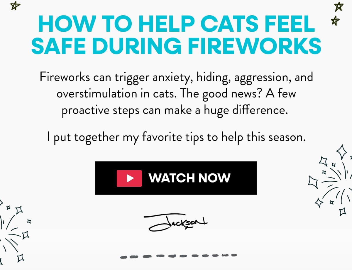 How To Help Cats Feel Safe During Fireworks