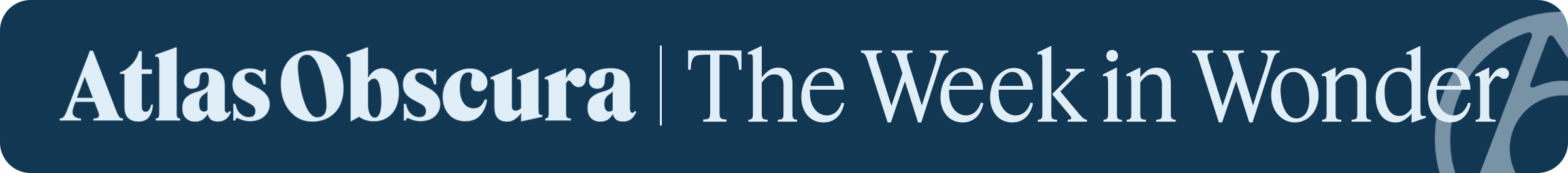 The Week in Wonder