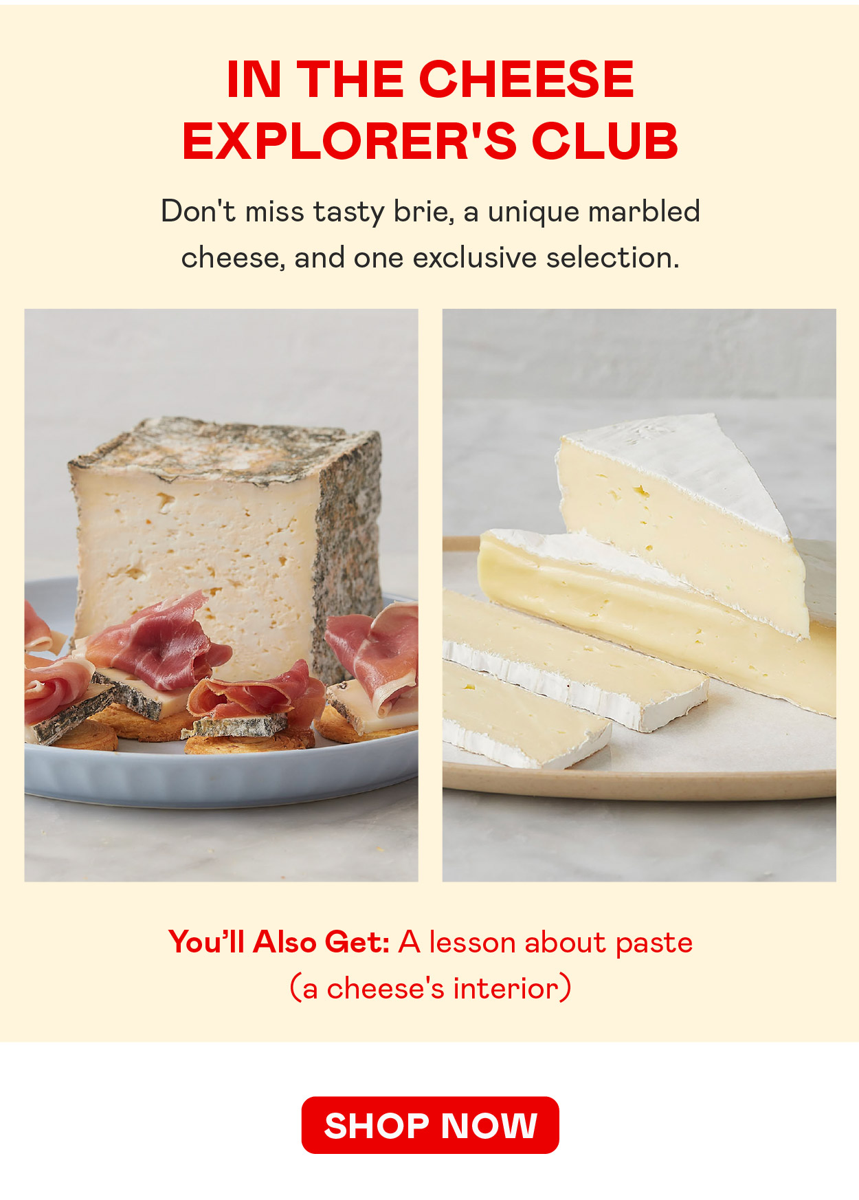 Cheese Explorer's Club
