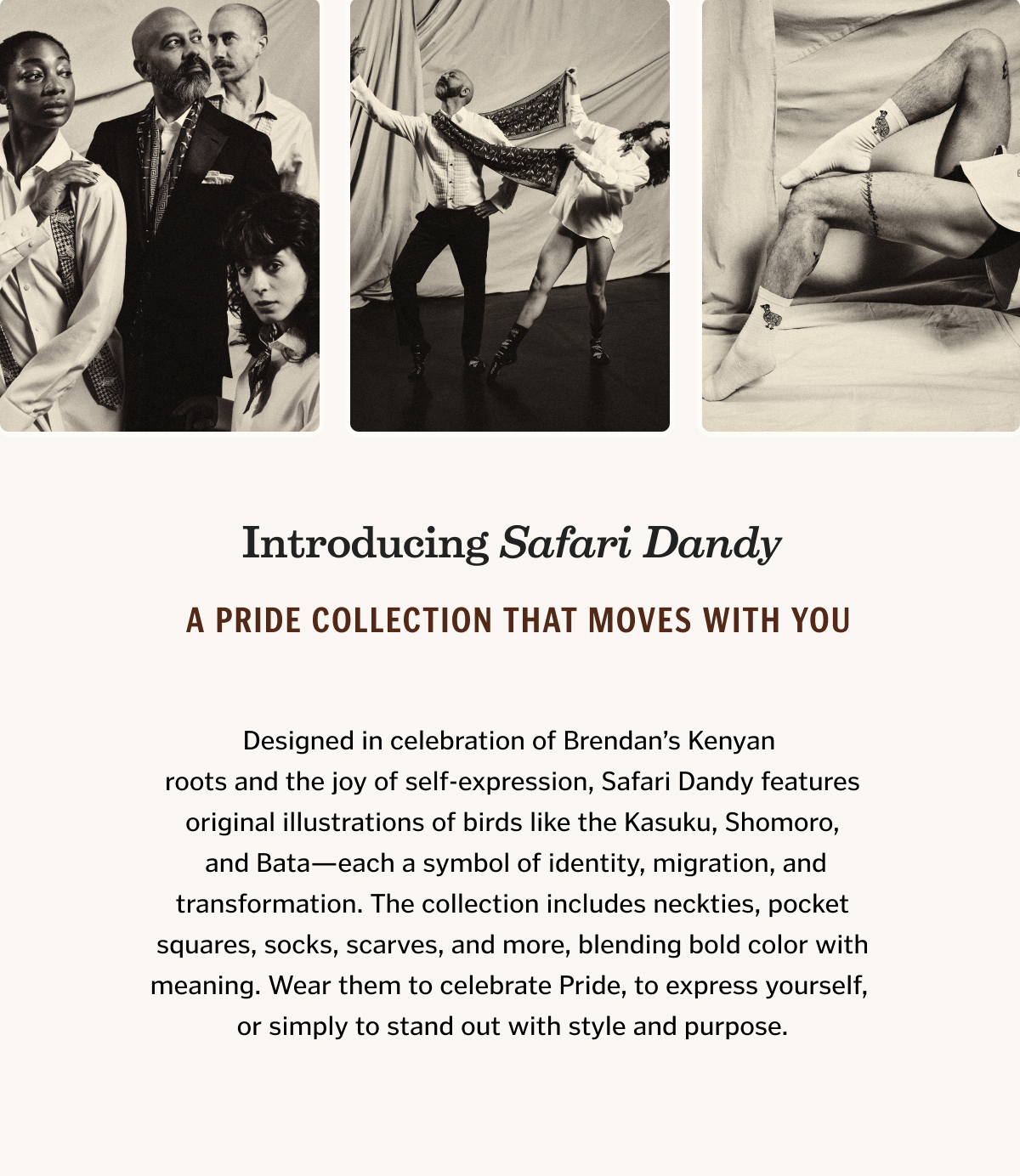 Introducing Safari Dandy |  A Pride collection that moves with you.