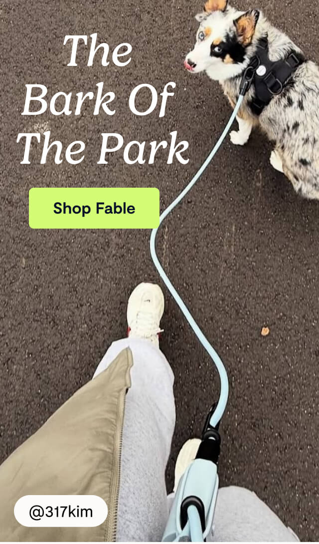 The Bark of The Park