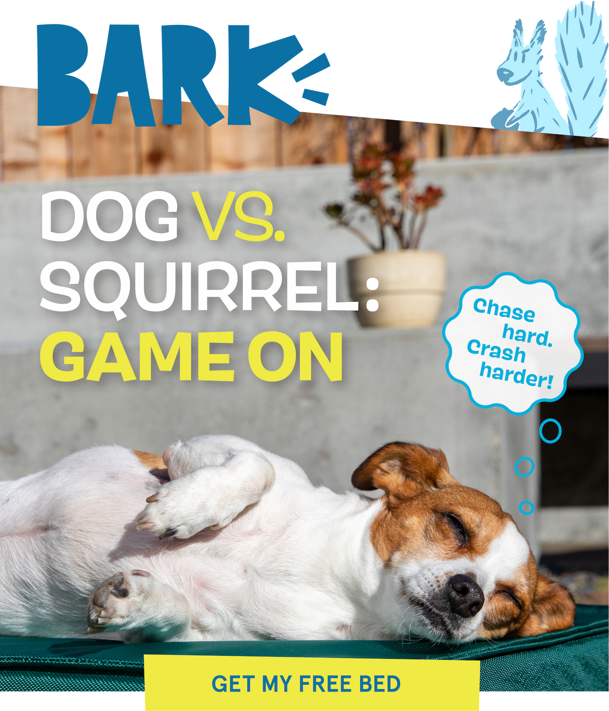 Dog vs. Squirrel: Game On | Chase Hard. Crash Harder! | Get My Free Bed