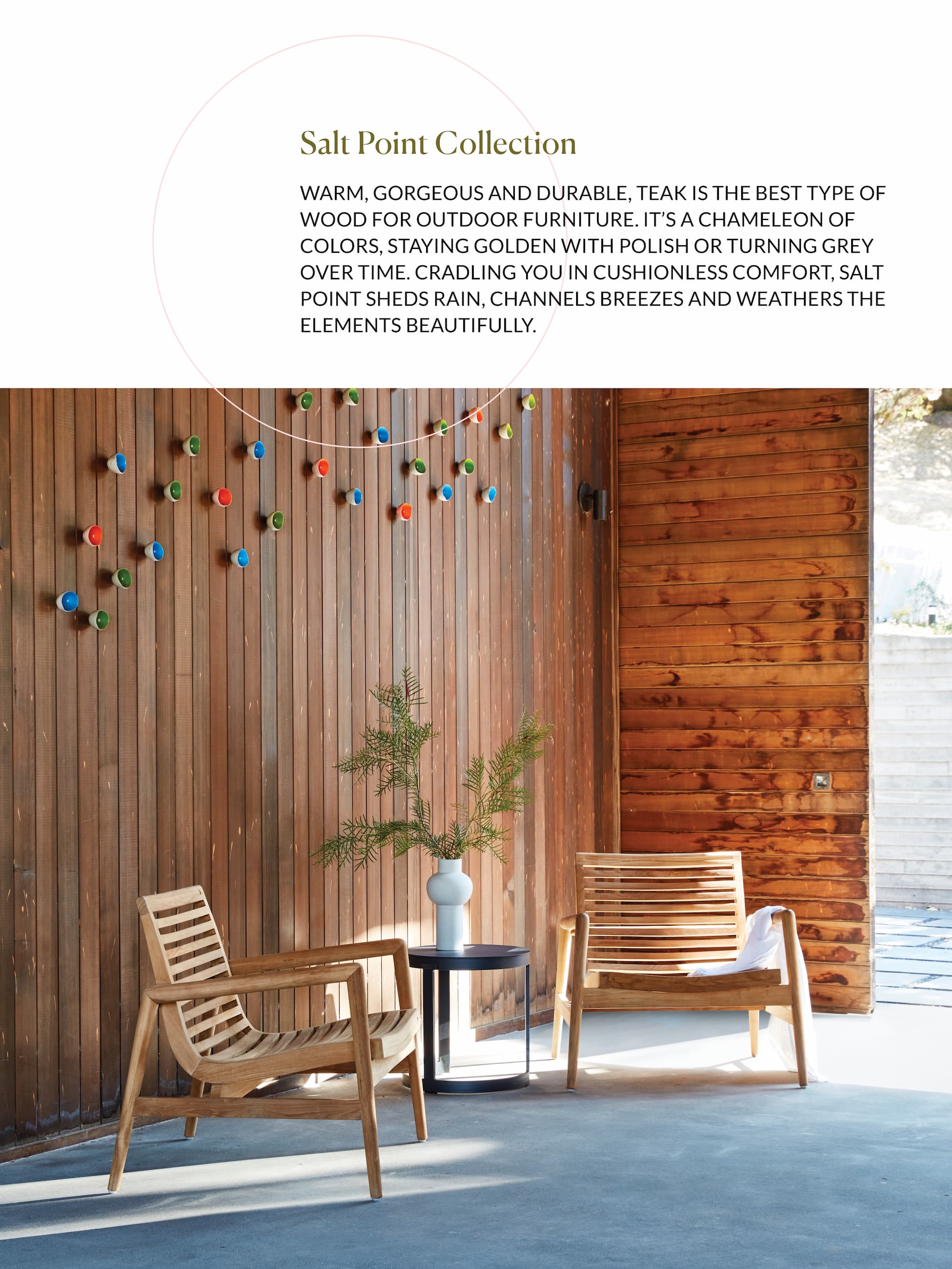 The Salt Point Collection