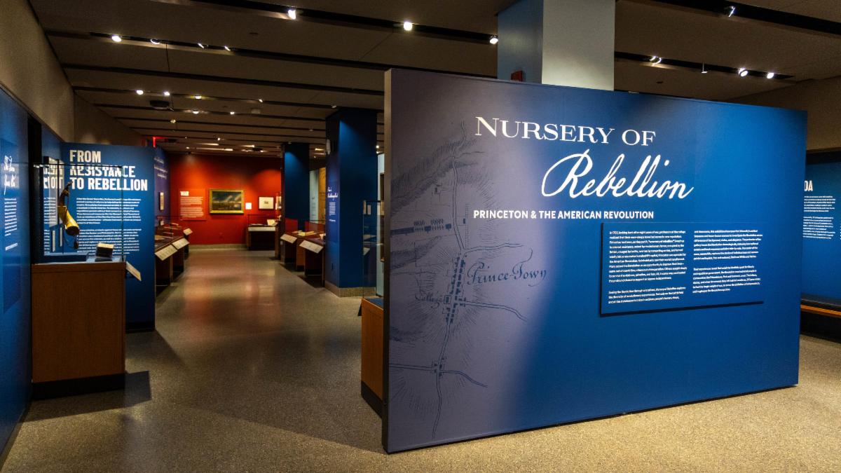 Nursery of Rebellion