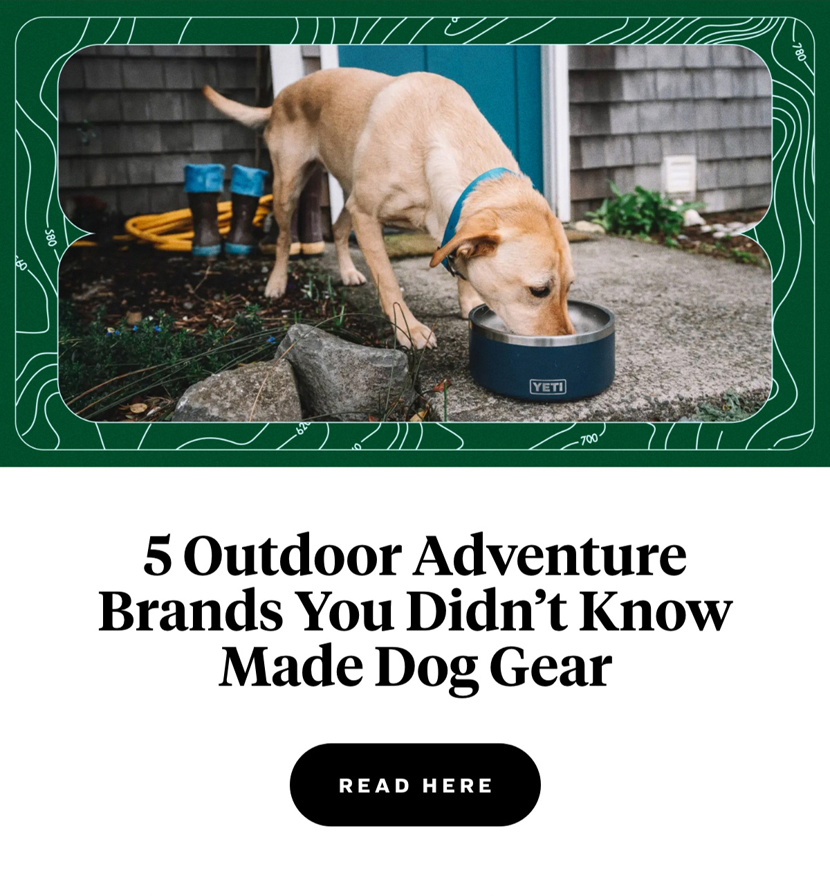 5 Outdoor Adventure Brands You Didn’t Know Made Dog Gear