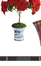 Poinsettia Floral Arrangement Planter