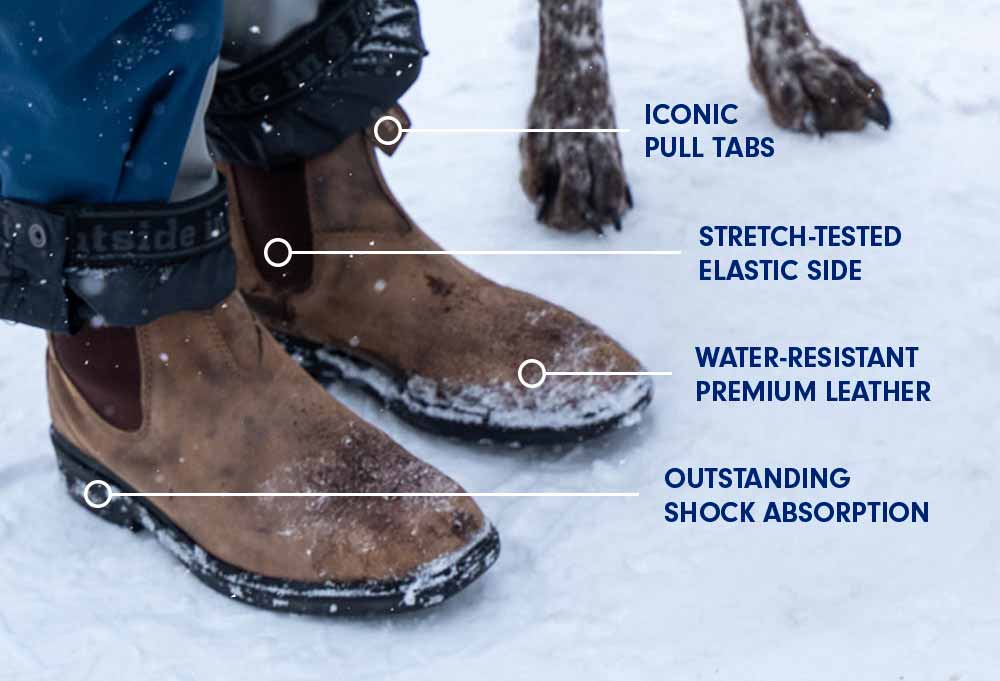 Paws for snow
