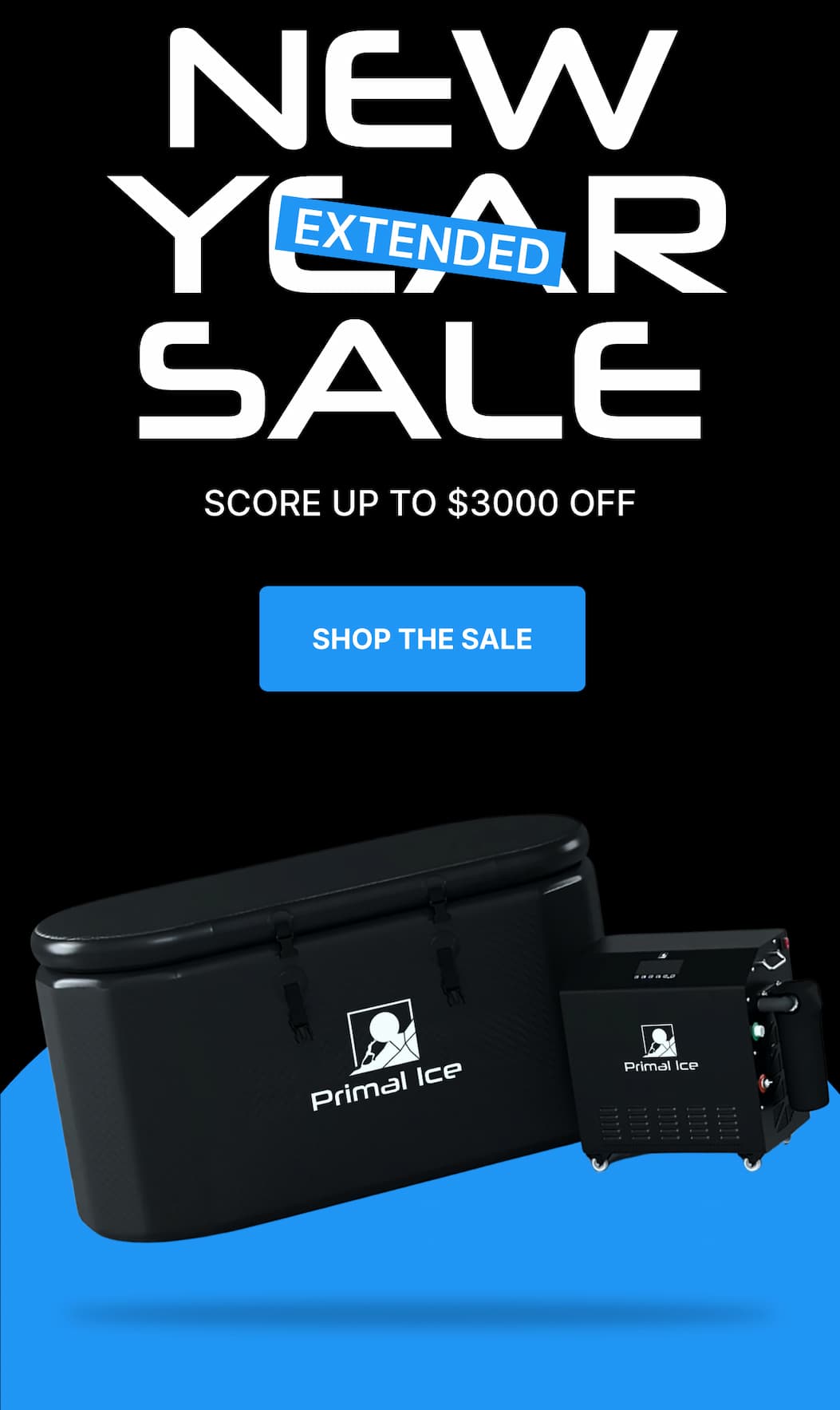 NEW YEAR EXTENDED SALE