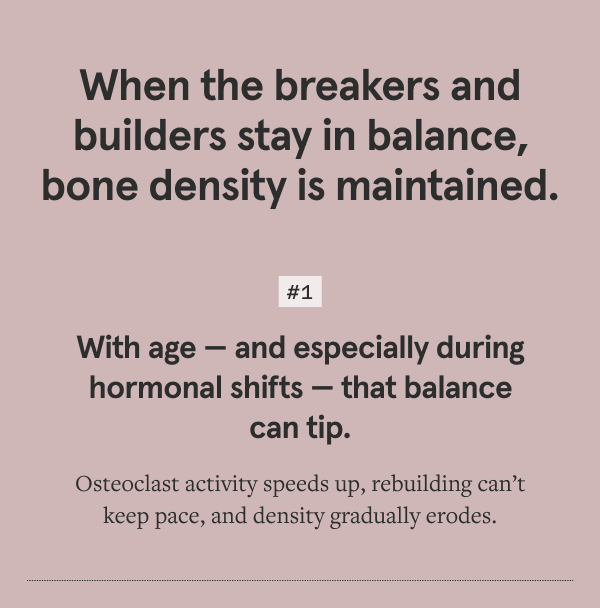 Osteoclast activity speeds up, rebuilding can’t keep pace, and density gradually erodes.