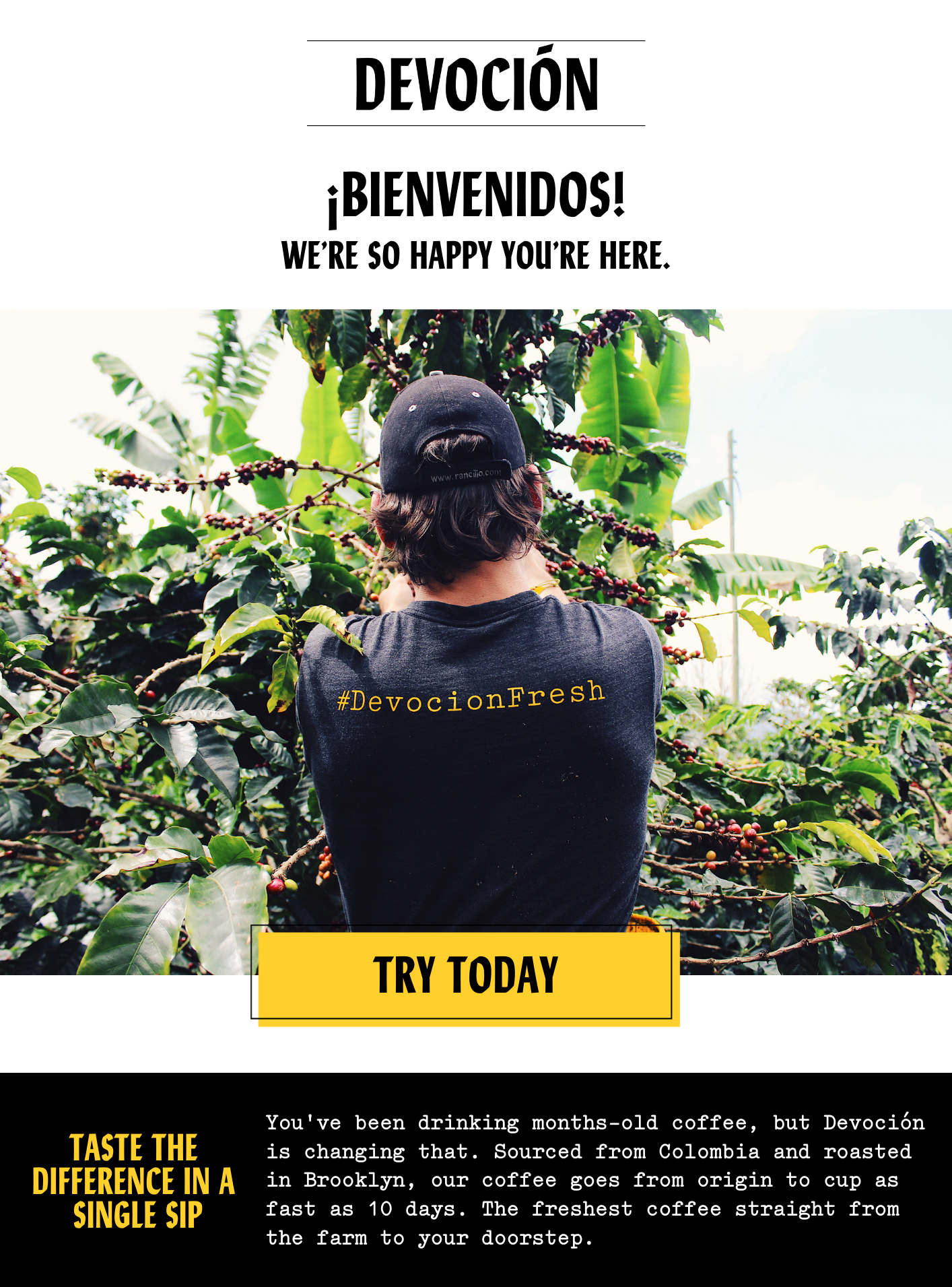 Get 20% back from your first online order! Bienvenidos! We're so happy you're here. Try Today. Taste the difference in a single sip - You've been drinking months-old coffee, but Devocion is changing that. Sourced from Colombia and roasted in Brooklyn, our coffee goes from origin to cup as fast as 10 days. The freshest coffee straight from the farm to your doorstep.